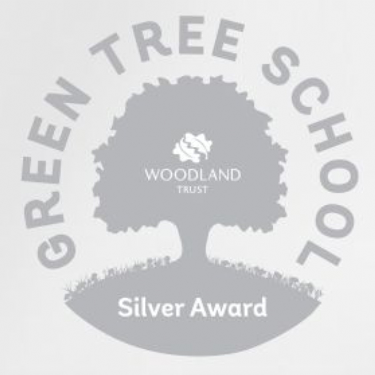 Medeshamstede Academy - Green Tree School Silver Award